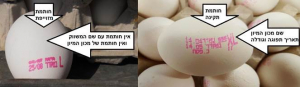 לקראת חג הפסח:  משרד הבריאות נעתר לבקשת משרד החקלאות להארכת חיי מדף של הביצים המיובאות